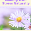 Dealing With Stress Naturally - Image 2